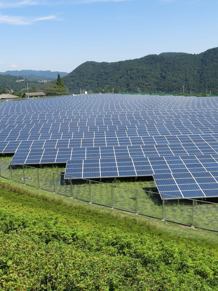 Solar panels at a power plant