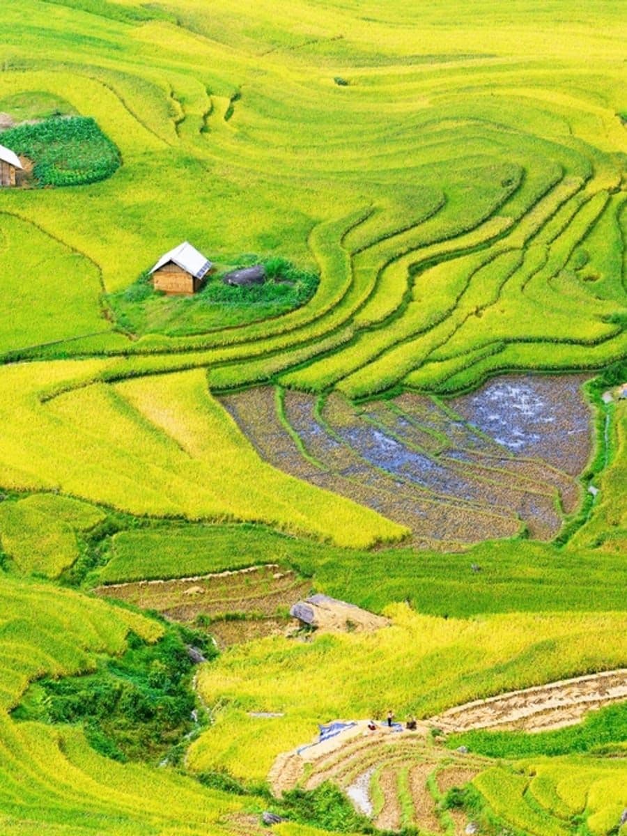 Terraced farmland