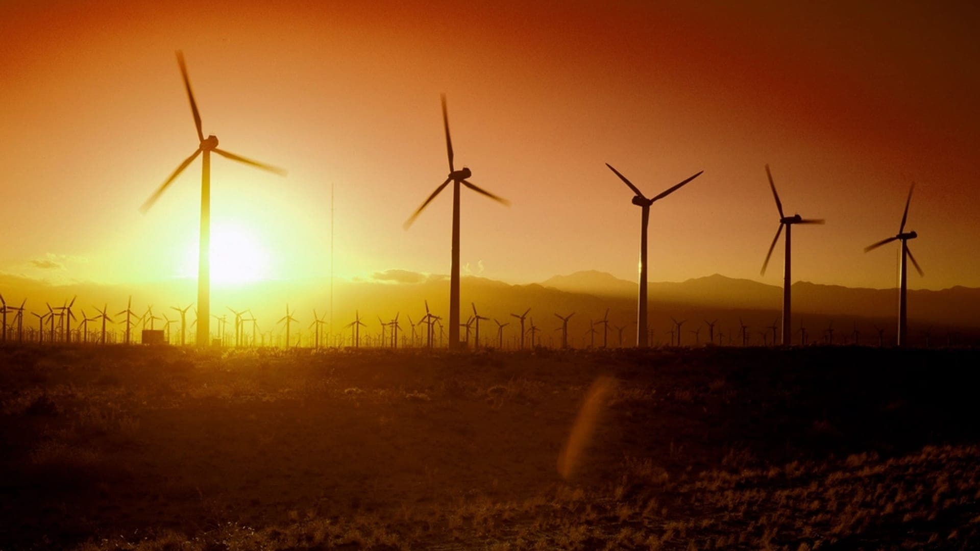 Wind turbines at sunset